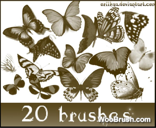 20 Kind Butterflies Brushes