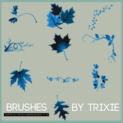 2024 Autumn Leaves And Vines Brushes