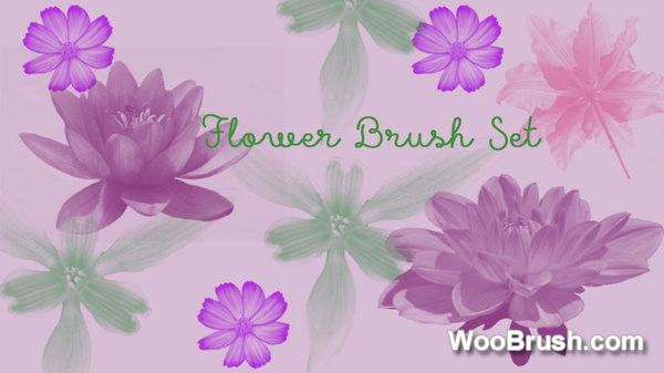Dream Flower Brushes