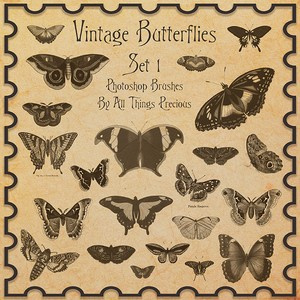 Vintage Butterflies Brushes Set