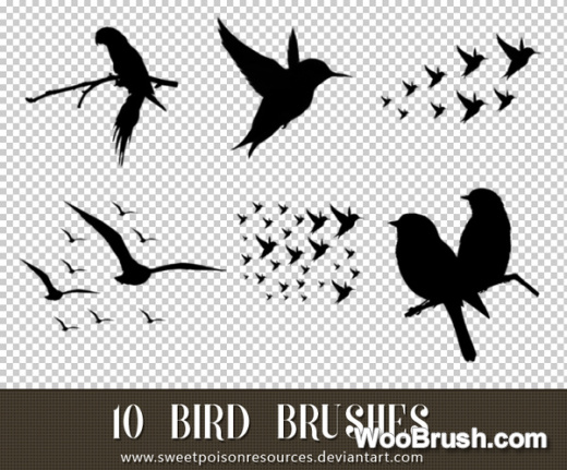 10 Kind Bird Brushes