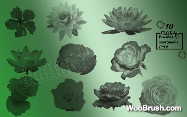 10 Kind Flowers Brushes