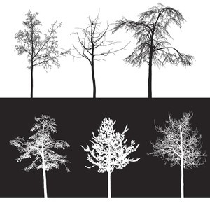 10 Kind trees Brushes