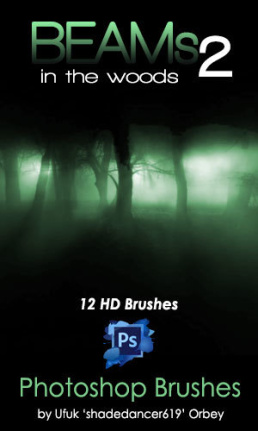 12 Kind Beams Brushes