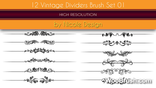 12 Kind Vintage Dividers Brushes