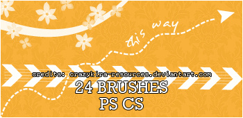 24 Kind Mixed Brushes