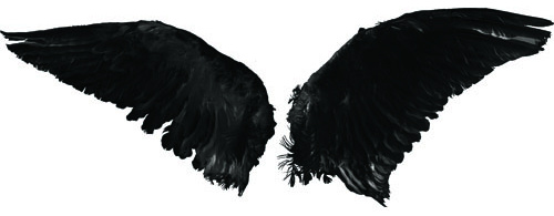 2 Kind Wing Brushes