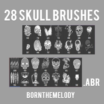 28 Kind Skull Brushes