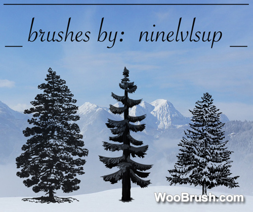 3 Kind Tree Brushes