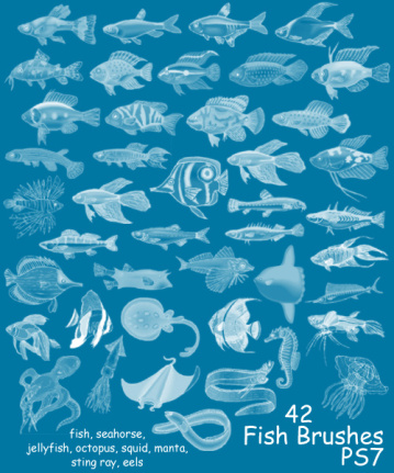 42 Kind Fish Brushes