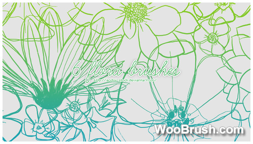6 Flora Brushes