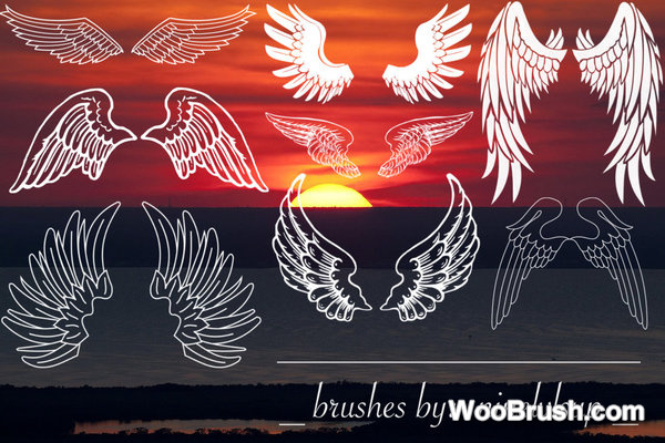 8 Wings Brushes