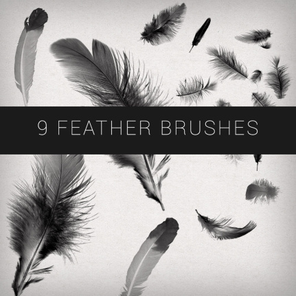 9 Kind Feathers Brushes
