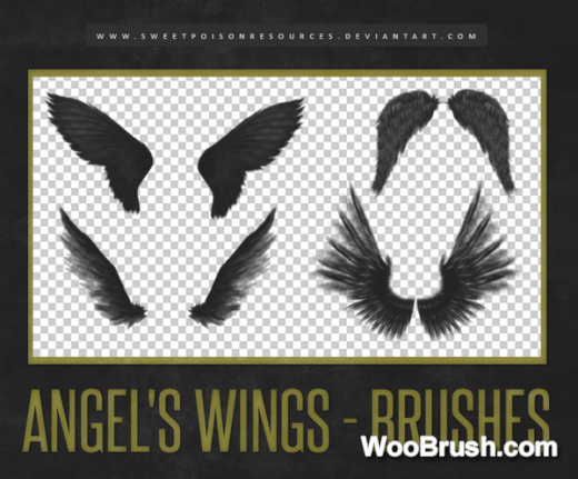 Angel Wings Brushes