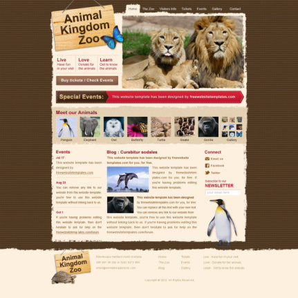 Animal Kingdom Web Template Psd