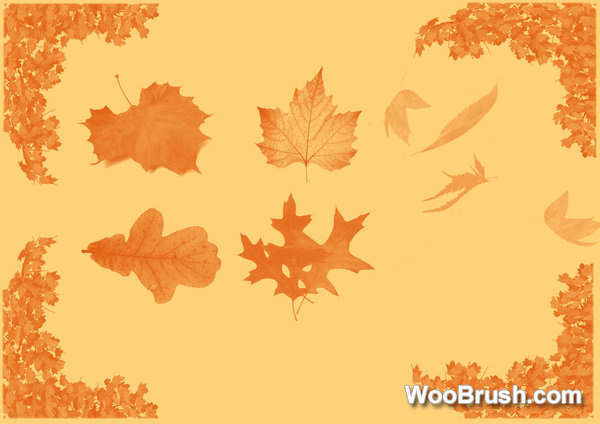 2024 Autumn Leaf Brushes
