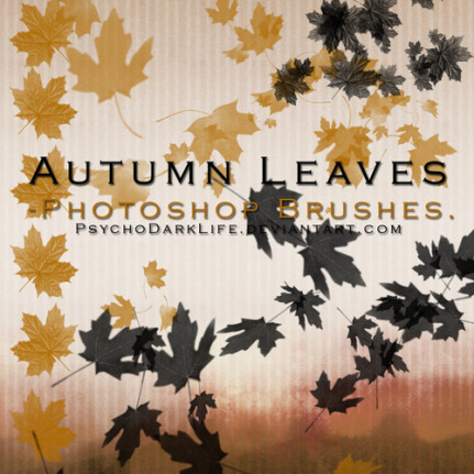 2024 Autumn Leaves Brushes