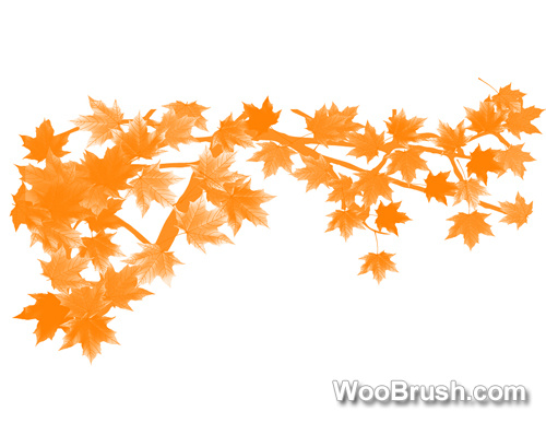 2024 Autumn Maple Leaf Brushes