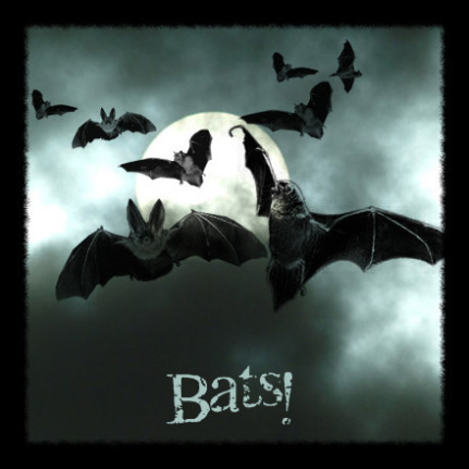 Bats Brushes