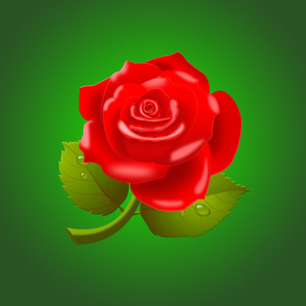 Beautiful Red Rose Material Psd