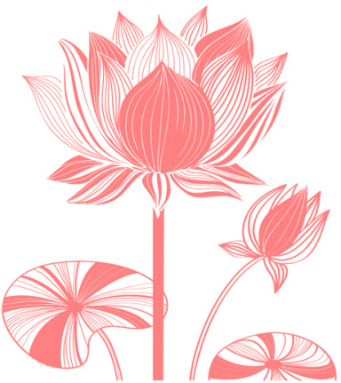 Beautiful Lotus Brushes