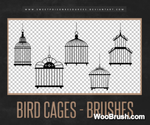 Bird Cages Brushes