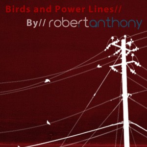 Birds And Power Lines Brushes