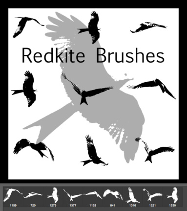Birds Kite Brushes