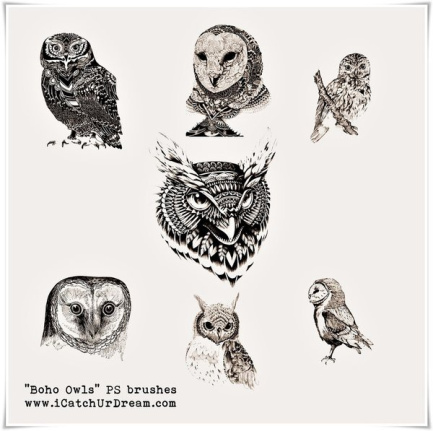 Boho Owls Brushes