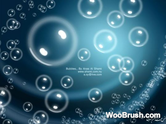 Bubbles Brushes Set