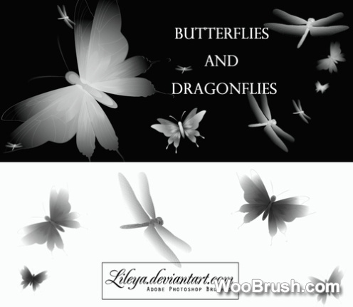 Butterflies And Dragonflies Brushes