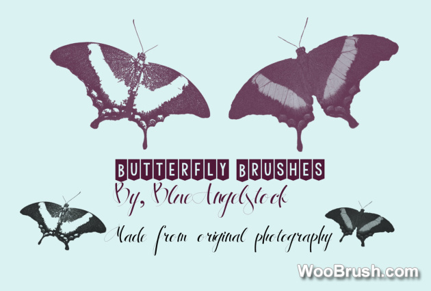 Butterfly Hd Brushes