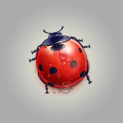Cartoon Ladybug Material Psd