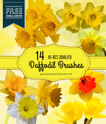 Cheerful Daffodil Flower Brushes