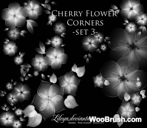 Cherry Flower Corners Brushes