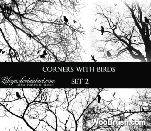 Corners With Birds Brushes