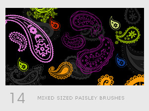 Creative Paisley Brushes