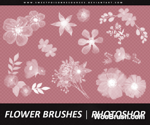 Different Flower Brushes