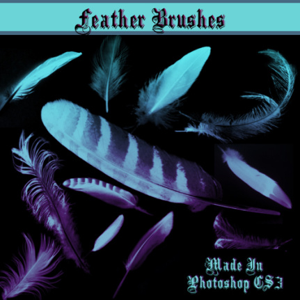Different Feather Brushes