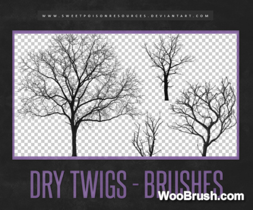 Dry Twigs Brushes