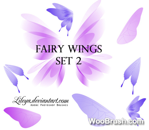 Fairy Wings Brushes