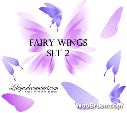 Fairy Wings Brushes