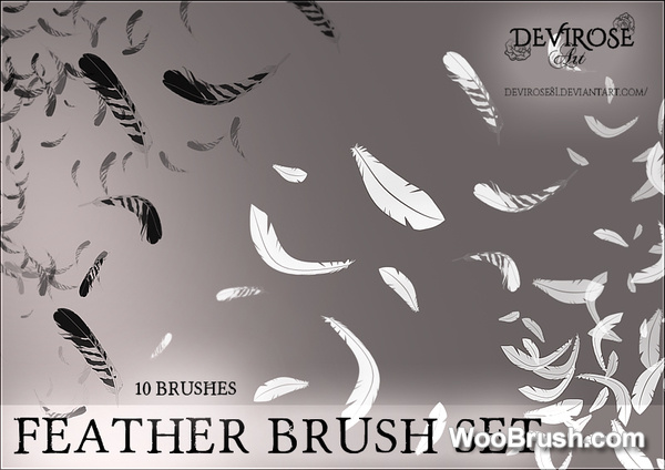 Feather Brushes Set