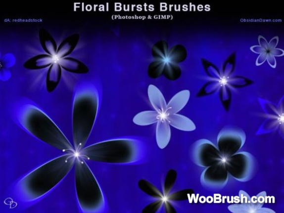 Floral Bursts Brushes