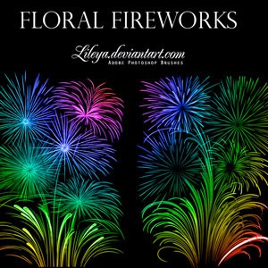 Floral Fireworks Brushes