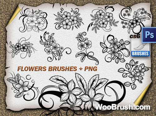 Flowers Ornaments Brushes