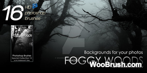 Foggy Woods Brushes