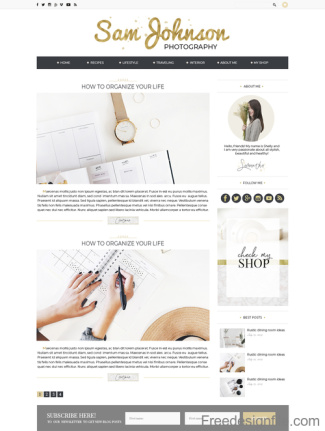 Golden With Pink Styles Blog Template Psd
