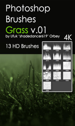 Grass Hd Brushes