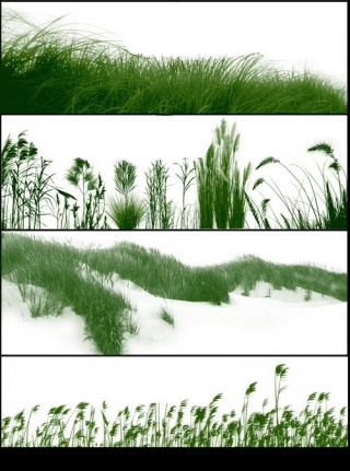 Grass For Brushes